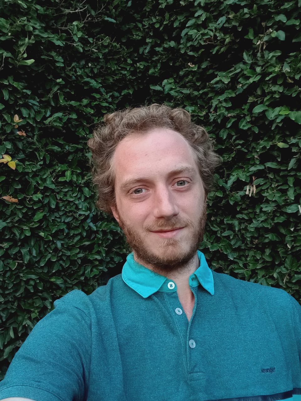 I wrote a free book about Scripture, AI, and language